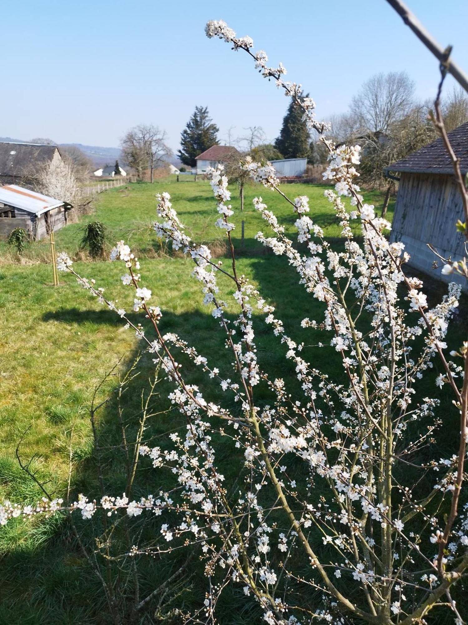 Chalet Des Roches Roche D'Oetre Suisse Normande Saint-Philbert-sur-Orne Eksteriør bilde
